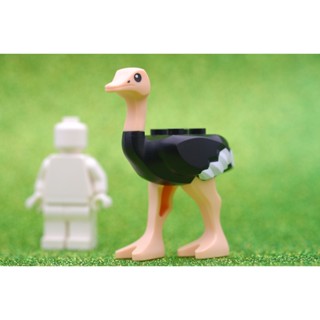 LEGO Ostrich นกกระจอกเทศ ANIMAL - LEGO® Authentic เลโก้แท้