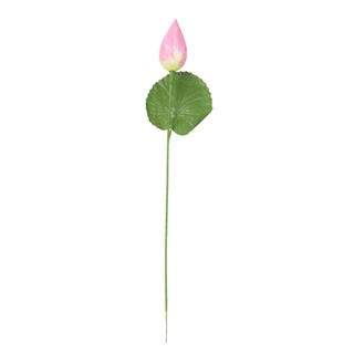 THE RICH BUYER ดอกไม้เทียม ดอกบัวหลวงเดี่ยว 1 ก้าน สีชมพู ดอกไม้เทียม ดอกไม้ประดิษฐ์ ดอกไม้ปลอม ดอกไม้