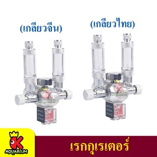 WYIN CO2 Reducing Valve เกจวัดความดัน CO2 รุ่น R106