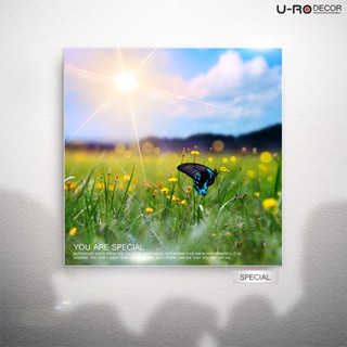 U-RO DECOR ภาพพิมพ์ รุ่น SPECIAL ขนาด 70x70 ซม.