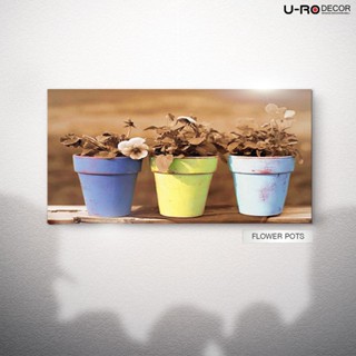 U-RO DECOR ภาพพิมพ์ รุ่น FLOWERPOTS ฟลาวเวอร์ พ๊อตส์ 50x100 ซม.