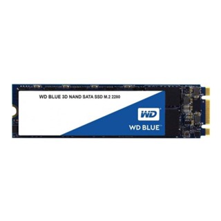 อุปกรณ์จัดเก็บข้อมูล // 250 GB SSD (เอสเอสดี) WD BLUE SATA M.2 2280 (WDS250G2B0B) 3D NAND