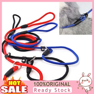 [B_398] Pet Dog Nylon Rope Leash Slip Lead Adjustable Traction Collar