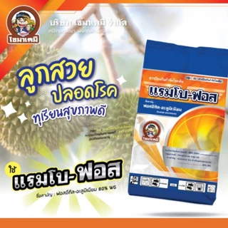 แรมโบ-ฟอส 1กิโลกรัม ฟอสอีทิล-อะลูมิเนียม 80% WG ป้องกันกำจัดโรคใบไหม้ โรคผลเน่า โรครากเน่าโคนเน่า โรคราน้ำค้าง โรคใบจุด