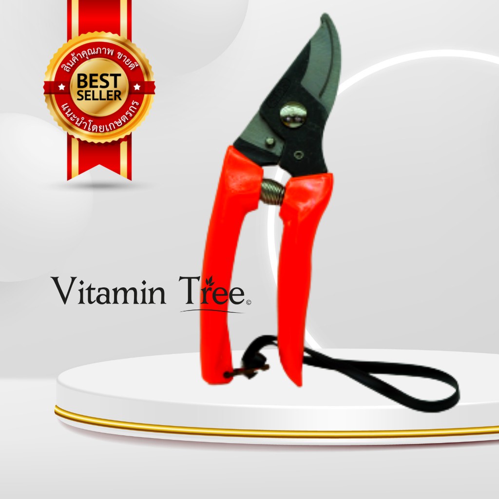 กรรไกร ตัดกิ่ง แต่งกิ่ง ตัดดอก ปากตรง ปากโค้ง ปากนกแก้ว ขนาด 7นิ้ว STAR 701/702 คีมตอนกิ่ง ต้นไม้ SH