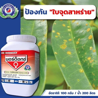 นอร์ด็อก 1กก. ยาแดงทาแผลทุเรียน คอปเปอร์แดง ใบจุด สาหร่าย ไฟท้อป สู้แดดดี เชื้อราและแบคทีเรีย