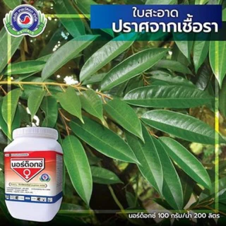 นอร์ด็อก 1กก. ยาแดงทาแผลทุเรียน คอปเปอร์แดง ใบจุด สาหร่าย ไฟท้อป สู้แดดดี เชื้อราและแบคทีเรีย