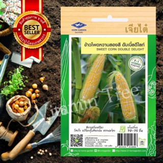 เมล็ดพันธุ์ ข้าวโพด หวาน สองสี ดับเบิ้ลดีไลท์ Sweet Corn 10กรัม 120 เมล็ด เจียไต๋ ต้นไม้ เมล็ดผัก ผัก ผักสวนครัว สลัด