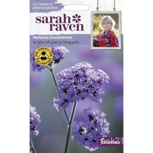 เมล็ด Johnsons Sarah Raven ข้าวโพดข้าวโพดไม้ของคุณเอง Verbena Bonariensis Seeds Packet ข้าวโพด