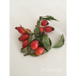 เมล็ด 3 Rose Hip Fruit Seeds-ข้าวโพดพุ่มกุหลาบกุหลาบป่าของคุณเอง-ผู้ขายในลอนดอน ข้าวโพด