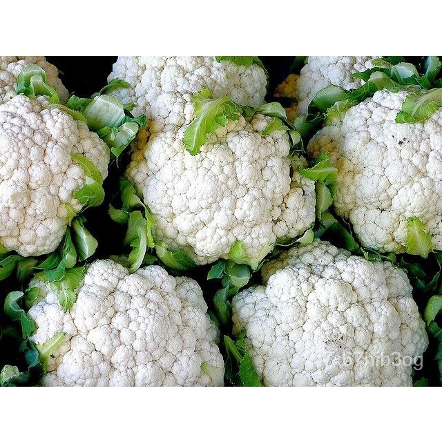 อินทรีย์็ด ใหม่็ด ใหม่ กะหล่ำได้ 50 ใหม่็ด Cauliflower seed ใหม่แท้ นำเข้าจากต่างประเทศ ใหม่ใหม่  ได