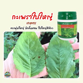 อินทรีย์็ด อินทรีย์็ด อินทรีย์็ดง่าย เกษตร ขนาด50และ2กรัม ตราเสือดาว อินทรีย์ง่าย อินทรีย์็ดอินทรีย์อินทรีย์ ผักบุ