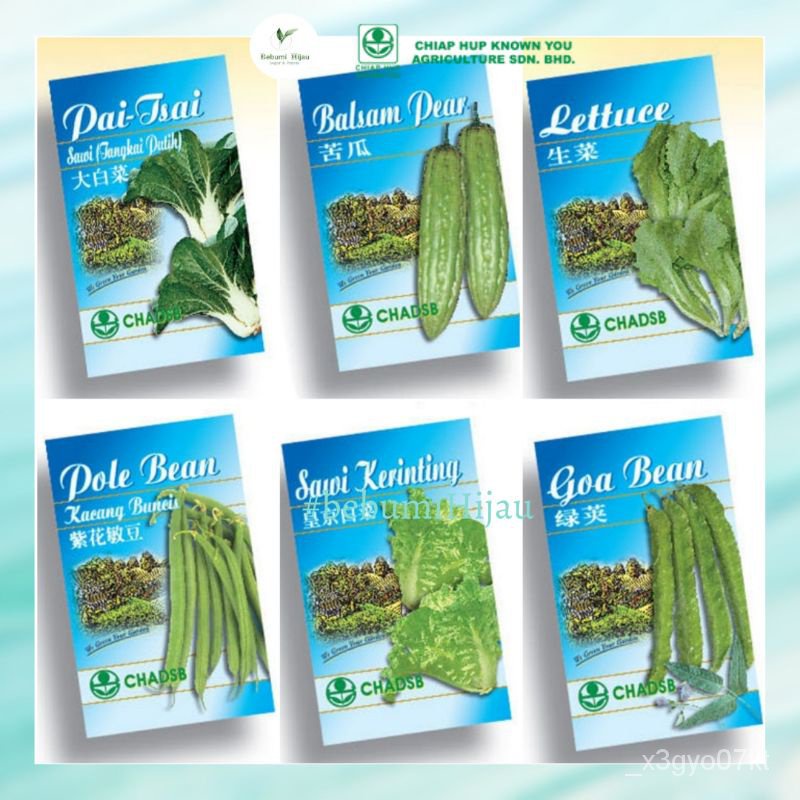 Pek Original Biji Benih Bermutu Brand CHIAP HUP Seeds Kacang Botor Eria Sawi Salad Buncis Benih Pek Kecil Sederhana 3ZZE