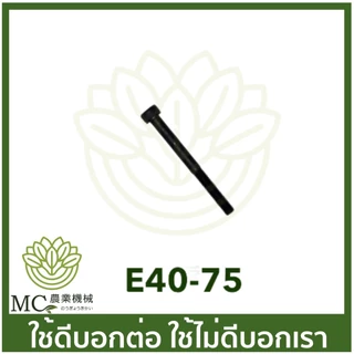 E40-75 น็อตยึดคาร์บู 411 เครื่องตัดหญ้า