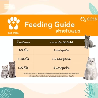 O3gold น้ำมันปลาเกรด Premium อาหารเสริมสัตว์เลี้ยง อาหารเสริมสุนัข อาหารเสริมแมว บำรุงขนสุนัข บำรุงขนแมว