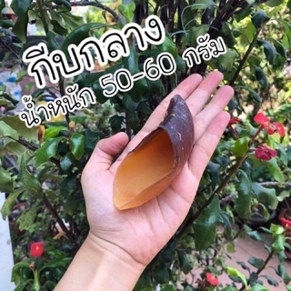 กีบวัว 200 กรัม ขนมสุนัข ขัดฟัน ขัดฟันสำหรับสุนัข ขนมขัดฟันจากธรรมชาติ
