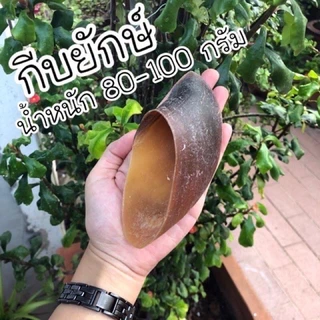 กีบวัว 200 กรัม ขนมสุนัข ขัดฟัน ขัดฟันสำหรับสุนัข ขนมขัดฟันจากธรรมชาติ