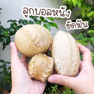 ลูกบอลสำหรับขัดฟัน ทำจากหนังวัว แทะเล่นได้ สนุก ขัดฟันสุนัข รักบี้ ขนมขัดฟันสุนัข
