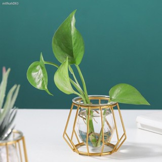 Flower Pot Glass Hydroponic Vase Plant Retro Simple Nordic Styles Home Decoration Terrarium Modern Ornament Geometric De