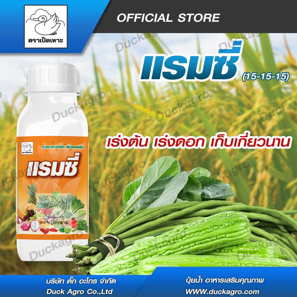 ปุ๋ยน้ำ แรมซี่  ตราเป็ดเหาะ คุณภาพผลผลิตดีขึ้น เพิ่มการติดลูกทุกช่วงอายุพืช เพิ่มนํ้าหนัก ขนาดบรรจุ : 500 cc. / 1000 cc.