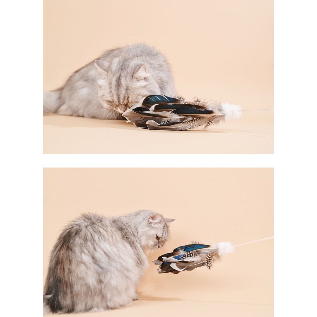 Hana Pet ไม้ตกแมวรุ่น Duck Tin Tin ขนนกแท้ ของเล่นน้องแมว ทำจากขนนกธรรมชาติ ไม้ล่อแมว เบ็ดตกแมว ของเล่นแมว