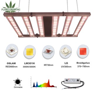 เติมอาการใบพืชด้วยไฟ LED พัฒนาการเติบโตของพืช ไฟ LED Samsung LM301H และ OSRAM พร้อม Meanwell และ ตัวควบคุมโดย 3 เส้นทาง