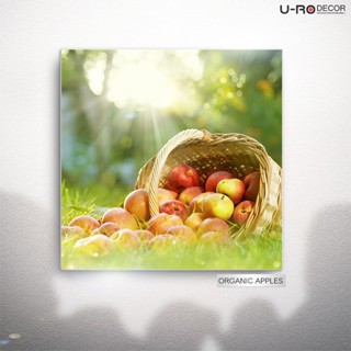 U-RO DECOR ภาพพิมพ์ รุ่น ORGANIC APPLES ขนาด 70x70 ซม. รูปภาพติดผนัง ภาพแขวนผนัง