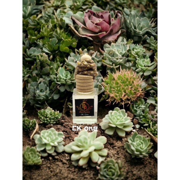 น้ำหอมติดรถยนต์ BR Perfume กลิ่น CK one 8ml.