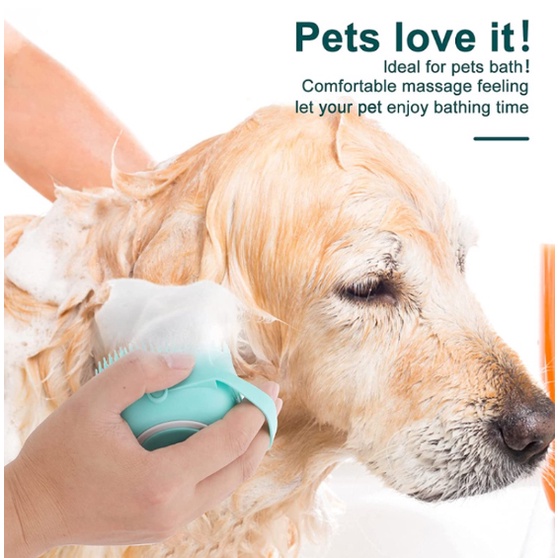 รูปภาพ 4