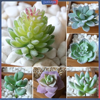 &lt;pattaya&gt; 1Pc Plastic Fake Artificial Succulents Plant Bonsai Garden Home Office Decor