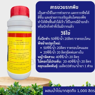 น้ำยาเร่งราก B1 ขนาด1ลิตร สำหรับตอนกิ่ง ปักชำ แช่เมล็ด ลดอาการเครียด ฟื้นตัวเร็ว รากแตกแขนงดี