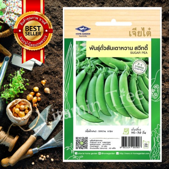 เมล็ดพันธุ์ ถั่วลันเตาหวาน สวีทตี้ SUGAR PEA SEED เจียไต๋