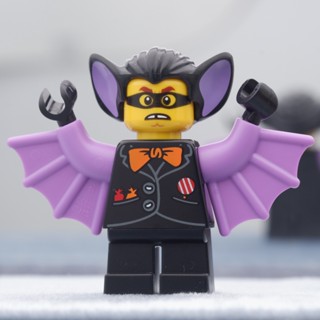 LEGO Exclusive Bat Suit Boy