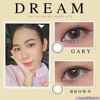 คอนแทคเลนส์  DREAM ✨ ยี่ห้อ GAEZZ ; Color Gary  /  Brown ( สายตาปกติ )