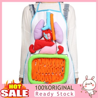 [B_398] Anatomy Apron Human Body Organ Educational Tool Preschool Teaching Aid