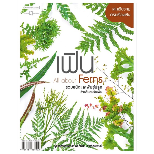 หนังสือ เฟิน All about Ferns รวมชนิดและพันธุ์ฯ : คนรักบ้านและสวน คู่มือปลูกต้นไม้ ผู้เขียน ผศ.ดร. ทัศไนย จารุวัฒนพันธ์