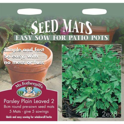 เมล็ด Mr Fothergills Pictorial Packet Herb Parsley - Plain Leaved Leaf 8cm Seed Mats เพาะ