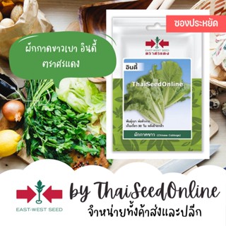 เมล็ด ใหม่็ด VP3 ซฟ ใหม่ ใหม่กาดขาว อินดี้ 250ใหม่็ด ตราศรแดง เพาะ 10เพาะ Cabbage ใหม่ เพาะ