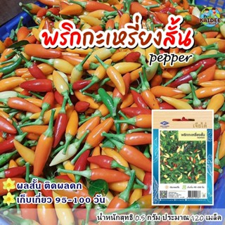 เมล็ด เมล็ด เมล็ดพริกกระเหรี่ยงสั้น PEPPER ตราเจียไต๋ ประมาณ120เมล็ด อินทรีย์พริก เมล็ด ผักบุ้