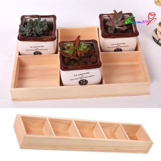 【AG】Multi Grid Wooden Flower Pot Bonsai Planter Box Desktop Storage Organizer