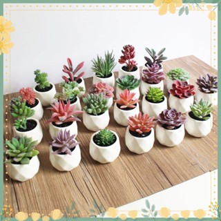 ✿1 ชิ้น ดอกไม้ประดิษฐ์ พืชอวบน้ํา บอนไซ DIY สวน สํานักงาน บ้าน ปาร์ตี้ ตกแต่ง