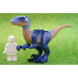 LEGO Sand Blue Dinosaur Raptor Velociraptor  ANIMAL - LEGO® Authentic เลโก้แท้