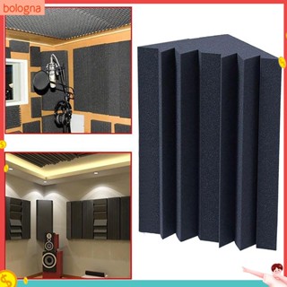 (Bologna) Soundproofing Foam Acoustic Bass Trap Corner Absorbers for Meeting Studio Room