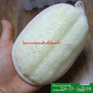 ถุงมือขัดขี้ไคล ใยบวบธรรมชาติ sac loofah ผ้าขนหนูขัดตัว: นุ่มและเป็นมิตรกับผิว ขุมทรัพย์แห่งการอาบน้ำจากพืช ทำความสะอาดร