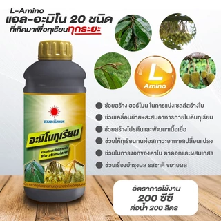 อะมิโนทุเรียน ขนาด 1 ลิตร สำหรับทุเรียนโดยเฉพาะ เข้มข้นสูง แอลอะมิโนแท้