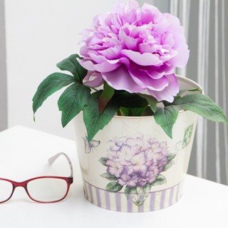 U-RO DECOR กระถางดอกไม้ รุ่น VIOLET ไซส์ M กระถางต้นไม้