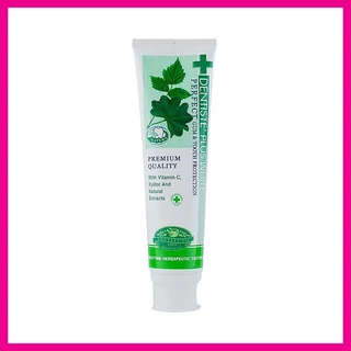 DENTISTE - Plus White Perfect Gum & Tooth Protection Toothpaste