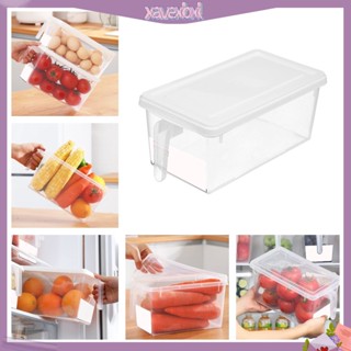 (xavexbxl) Rectangular Food Storage Container with Handle PP Refrigerator Fruit Storage Box for Home