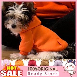 [B_398] Puppy Pet Hooded Sweatshirt Winter Two-legged Pocket Dog Clothes