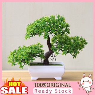 [B_398] Plant Mold Lightweight Vivid Mini Potted Plant Store